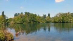 Angling Lake