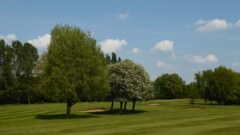 Plenty more bunkers.