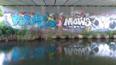 Mows is another prolific graffiti artist in the canal and river area