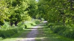 Eventually leading to Hardingstone woods