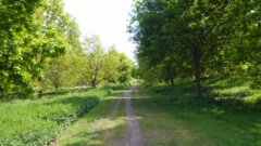 The right hand path heads south back past the Abbey grounds.